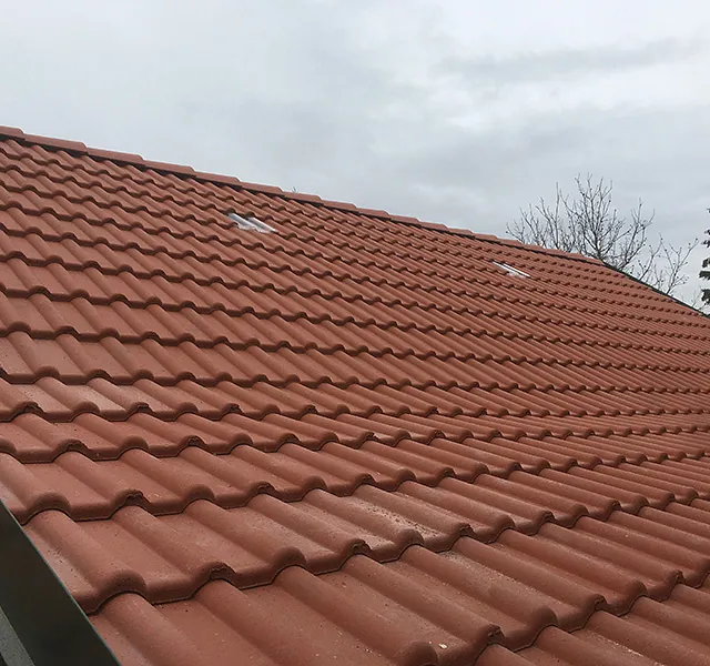 Dachsanierung